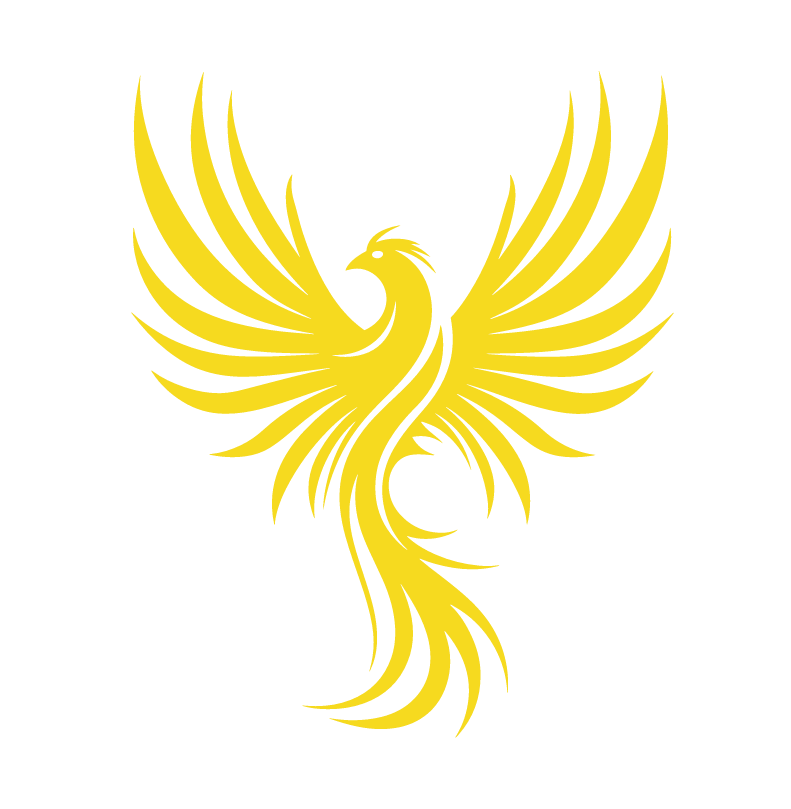 Rise Beyond Barriers